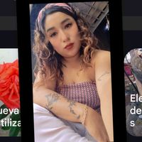 gisseltorices3