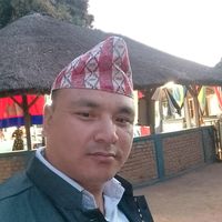 gyantmg385