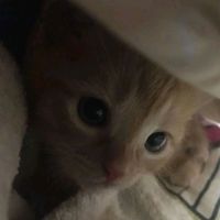 natluvsq