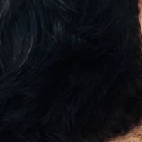 usuarionaoemcotrado0