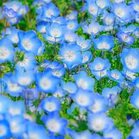 オリジナル楽曲 - user5508870312976ノウガキタロー