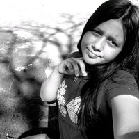 nolvia.is