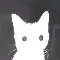 original sound - BCC | Rebel 01 🌀