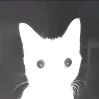 original sound - rebel_edtz