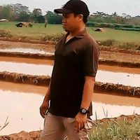 bang.sany4