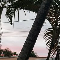 laclaranaysabelle
