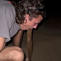 jjessegiless