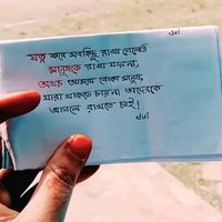 nahidul.islam3560