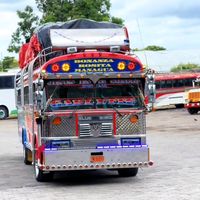 busesnicas129