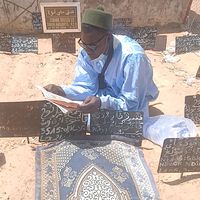 falloi.diaw