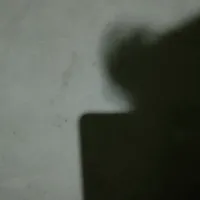 original sound - .s3787