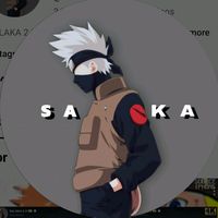 salaka2.1