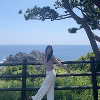 nytran_osaka
