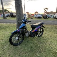 shogun_ardi