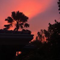 nhạc nền - Lyrics