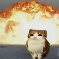 original sound - mewquinnn