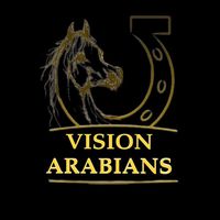 vision_arabians