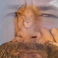 megastar_aligurbuz