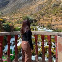 xiomarasuarez01