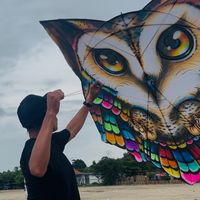 suara asli - Widhi MB9