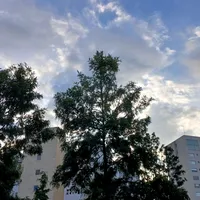 original sound - toxicagonzalesss