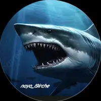 original sound - noyo_l9irche