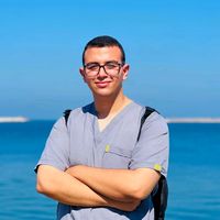 mostafamohamed5173