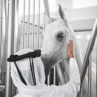 original sound - zz6cc