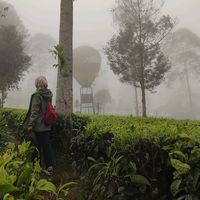 suara asli - 25dpsept