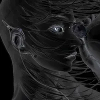 silk maxjardz aka 9lives