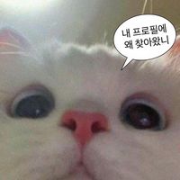 silver_s06