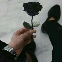 saxa___abd