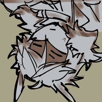 cipherchip