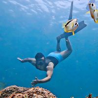 Mermaid Song