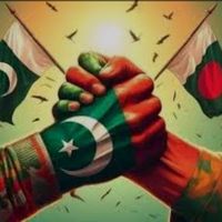 original sound - RIAT PAK AIR FORCE 🇵🇰🤝🇧🇩
