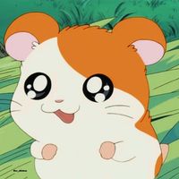 오리지널 사운드 - 요밍