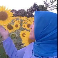 elmasyadigar
