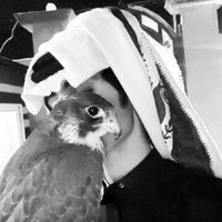 الصوت الأصلي