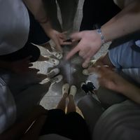 .hayon0