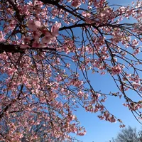 original sound - soulmate2546