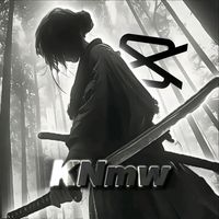 knmw.cc