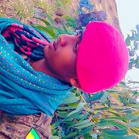 alex17314237803941