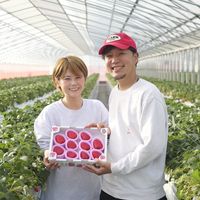 6_rokufarm