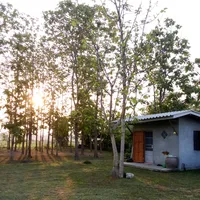 original sound - .100k42