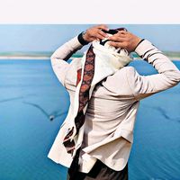 الصوت الأصلي