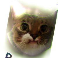 1_bati5a_