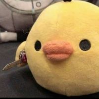 nigamoon0