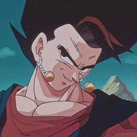 vegito_playyss