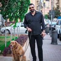 الصوت الأصلي