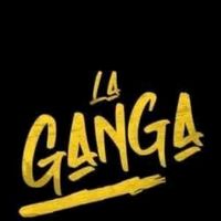 importadoralagangagt